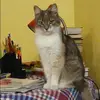 Отзыв от Алина Матвеева